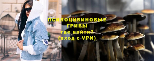 ALPHA PVP Бородино
