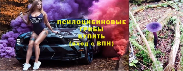 ALPHA PVP Бородино