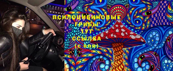 гидропоника Бугульма