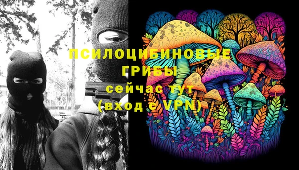 гидропоника Бугульма