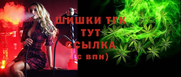 гидропоника Бугульма